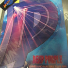 DEEP PURPLE SLAVES AND MASTERS TOUR 1991 KIERTUEKIRJA - pikkukuva 1