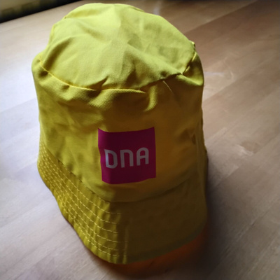 DNA kesähattu