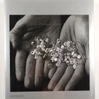 Alf Wannenburgh : Diamond People - pikkukuva 2