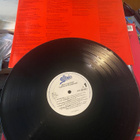 Molly Hatchet: Flirtin’ With Disaster 1979 LP - pikkukuva 3