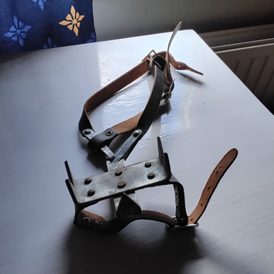 Antiikkinen jäänaskali kenkään