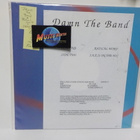 DAMN THE BAND - RADICAL WORLD/ JAK IS ON THE MIC EX+/EX+ LP - pikkukuva 1