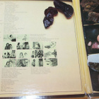 Frankie & Johnny - The Sweetheart  Sampler LP 1973 - pikkukuva 2