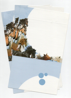 °°HEVOSET°° -KIRJEPAPERIT SETTI /(Nro 27)