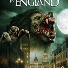 werewolf in england	(70 289)	UUSI	-FI-	DVD	nordic,			2020 - pikkukuva 2