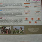 12 YEARS A SLAVE DVD - pikkukuva 2