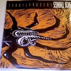 SICK THINGS INTERNATIONAL:PROTEIN/HAIRSPRAY SISTER:VINYYLI7" - pikkukuva 1