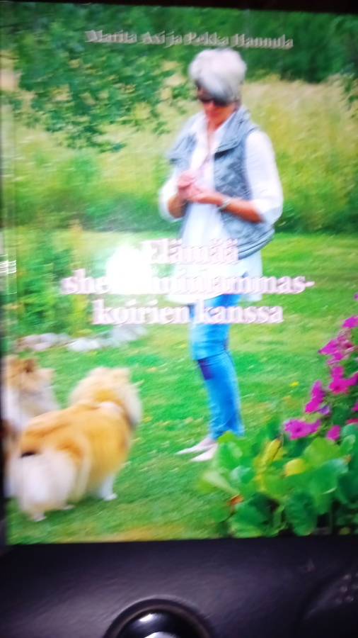 AXI :  ELÄMÄÄ SHETLANNINLAMMASKOIRIEN KANSSA