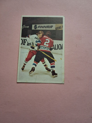 Panda. Jääkiekkokoulu. 44.