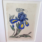 Inari Krohn "Iiris" - pikkukuva 4