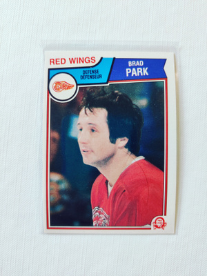 83-84 Opc - Brad Park