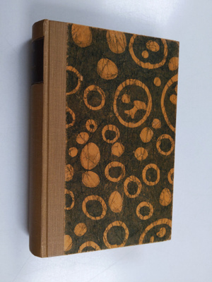 Sinclair Lewis : Babbitt : historien om en man, hans fami...