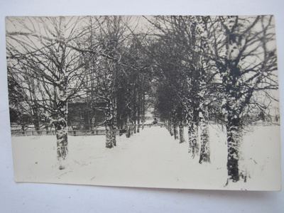 VANHA Postikortti Jepua Jeppo Uusikaarlepyy 1920-l
