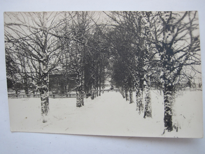VANHA Postikortti Jepua Jeppo Uusikaarlepyy 1920-l