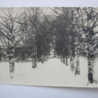 VANHA Postikortti Jepua Jeppo Uusikaarlepyy 1920-l - pikkukuva 1