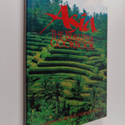 Jackie Passmore : China : The Beautiful Cookbook - pikkukuva 1