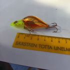 Rapala Fat Rap 4cm Finland - pikkukuva 2