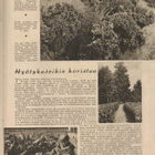 Kotilliesi n:o 10 1940 Kannen Design Martta Wendelin. - pikkukuva 4