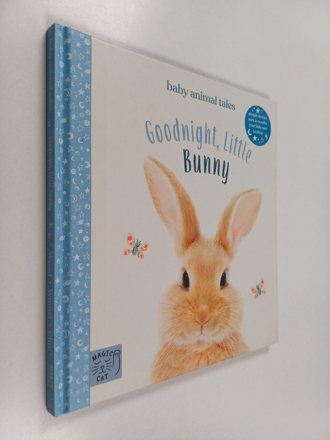 Amanda Wood : Goodnight, Little Bunny