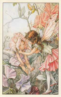 Cicely Mary Barker: Kukkakeijut tuoksunätkelmä