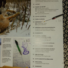Metsästys ja kalastus 1/2015 - pikkukuva 3