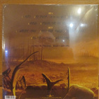CHILDREN OF BODOM:I WORSHIP CHAOS PICTURE VINYL - pikkukuva 3