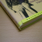 James Joyce: Taiteilijan omakuva nuoruuden vuosilta - pikkukuva 2