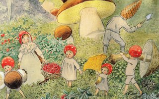 Elsa Beskow- Tonttulapset sieniä poimimassa