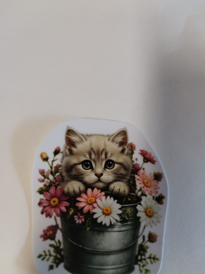 Söpö kissa tarra.
