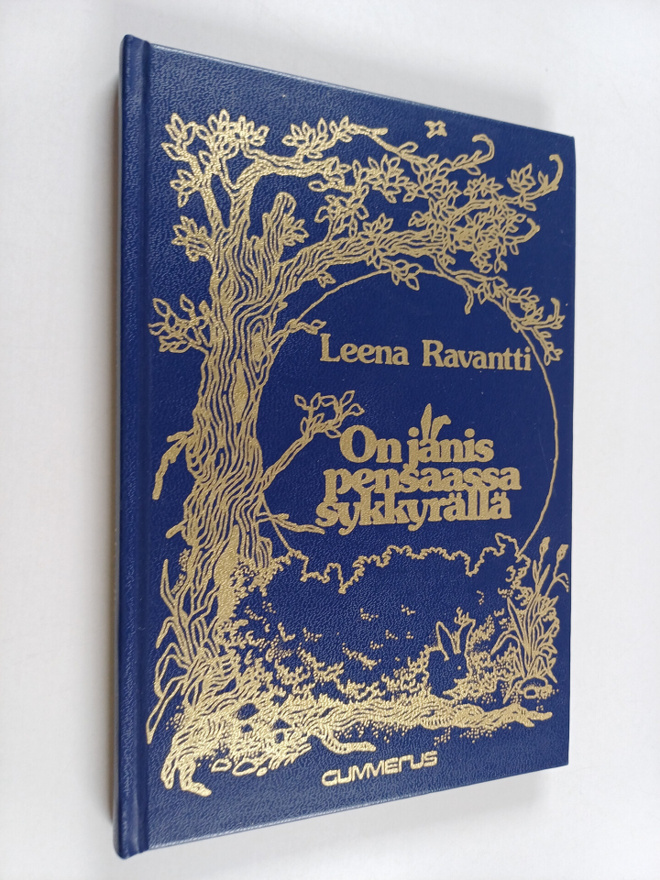 Leena Ravantti : On jänis pensaassa sykkyrällä