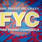 FINE YOUNG CANNIBALS  ::  SHE DRIVES ME CRAZY :: VINYYLI  7" - pikkukuva 1