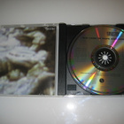 Ministry - The Land Of Rape And Honey (CD) - pikkukuva 3