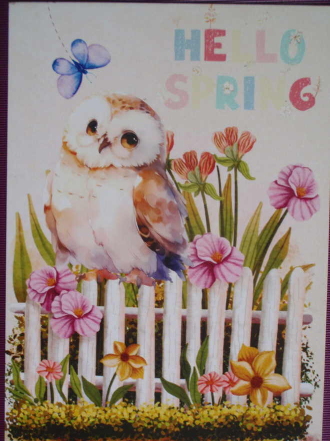 Pöllö istuu aidalla ja toivottaa kevään saapuneeksi