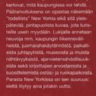 Olivia Olander: Matkailijan New York - pikkukuva 3