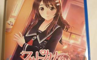 PSVita: Photo Kano – Memorial Pictures (JPN)
