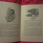Rudyard Kipling / Intian viidakoista - pikkukuva 5