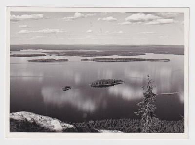Lieksa: Koli