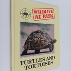 Vassili Papastavrou : Turtles and tortoises - pikkukuva 1