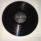 20 SUPER HITS LP 11 083 DELPHIN - pikkukuva 3
