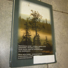 Karhu ja koira - karhun metsästys koiralla - veijo miettinen - pikkukuva 2