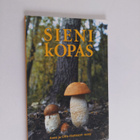 Anne Mattsson : Sienikopas - pikkukuva 1