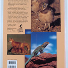 Jeff Rennicke : Colorado Wildlife - pikkukuva 2