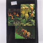 Mea Allan : Darwin and his flowers : the key to natural s... - pikkukuva 2