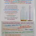 Jason Vale : The Funky Fresh Juice Book - pikkukuva 2