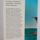 Thor Heyerdahl : Lautalla yli Tyynenmeren - pikkukuva 2