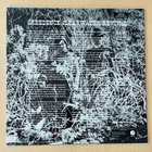 Creedence Clearwater Revival : Eka LP (Fantasy 1987) - pikkukuva 2