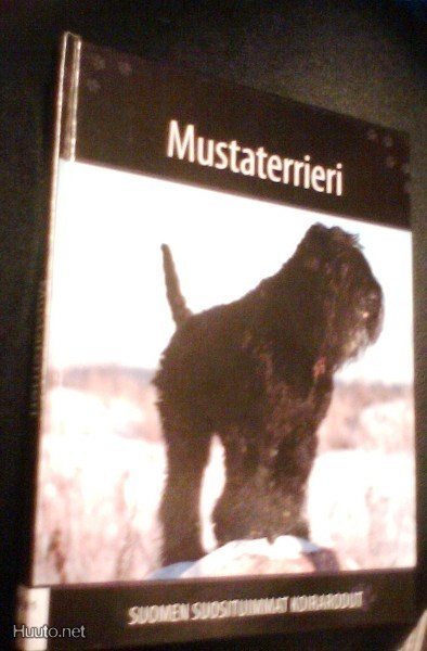 MUSTATERRIERI (Suomen suosituimmat koirarodut) Sis.pk:t