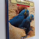 Sademetsät : tiikeri, gorilla, oranki, simpanssi, jaguaar... - pikkukuva 1