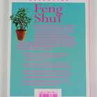 Simon Brown : Essential Feng Shui - pikkukuva 2