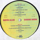 DAEVID ALLEN - Banana Moon v.1971 (1999) - pikkukuva 4
